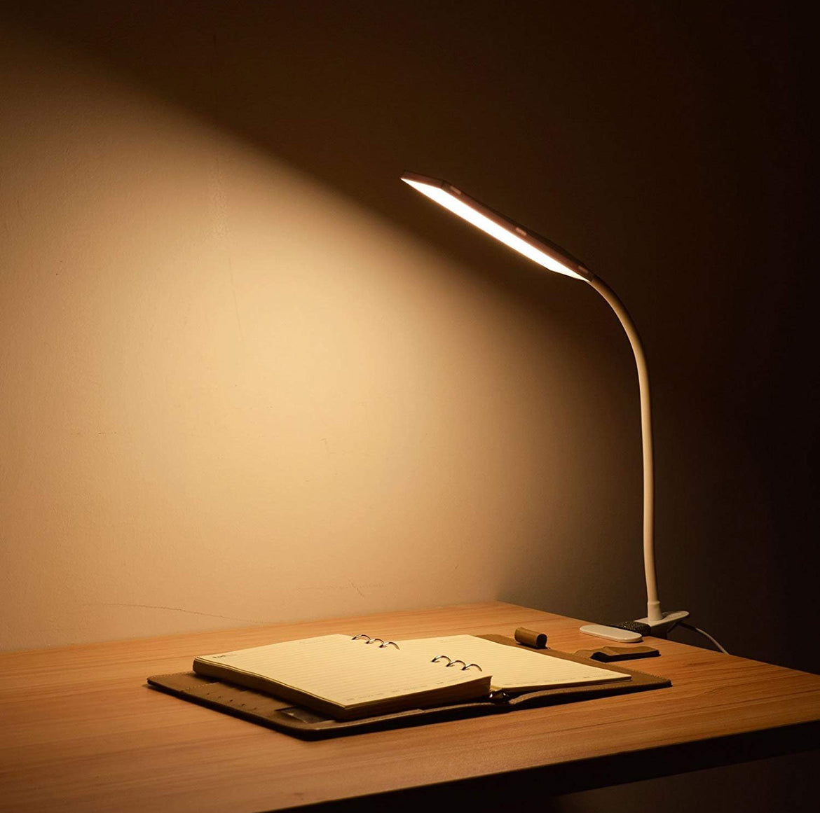 5W LED Clip-On Desk Lamp